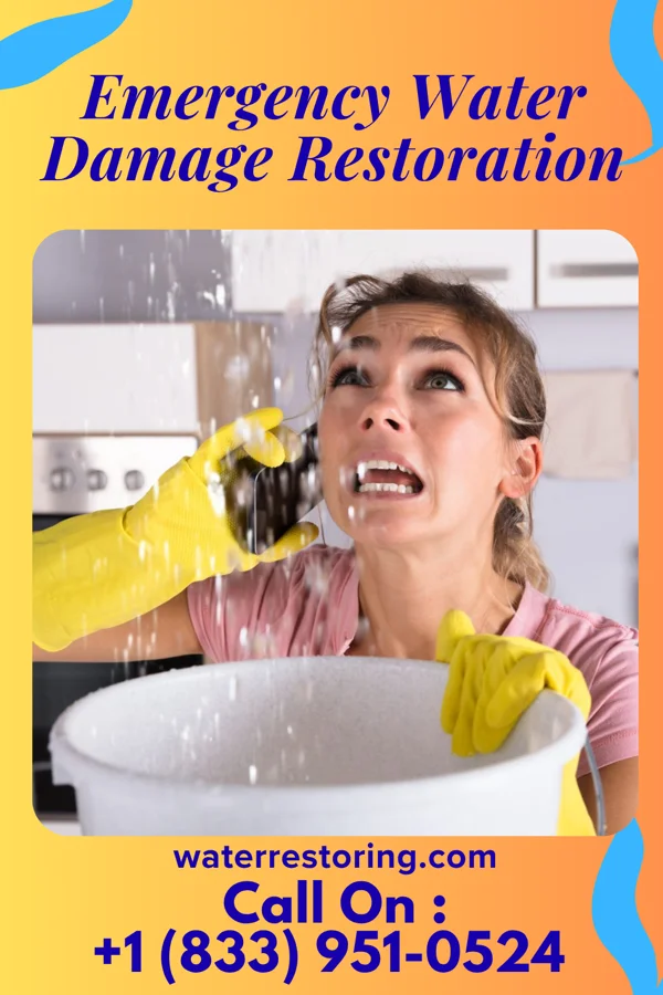 Emergency Water Damage Restoration in Woodside, PA