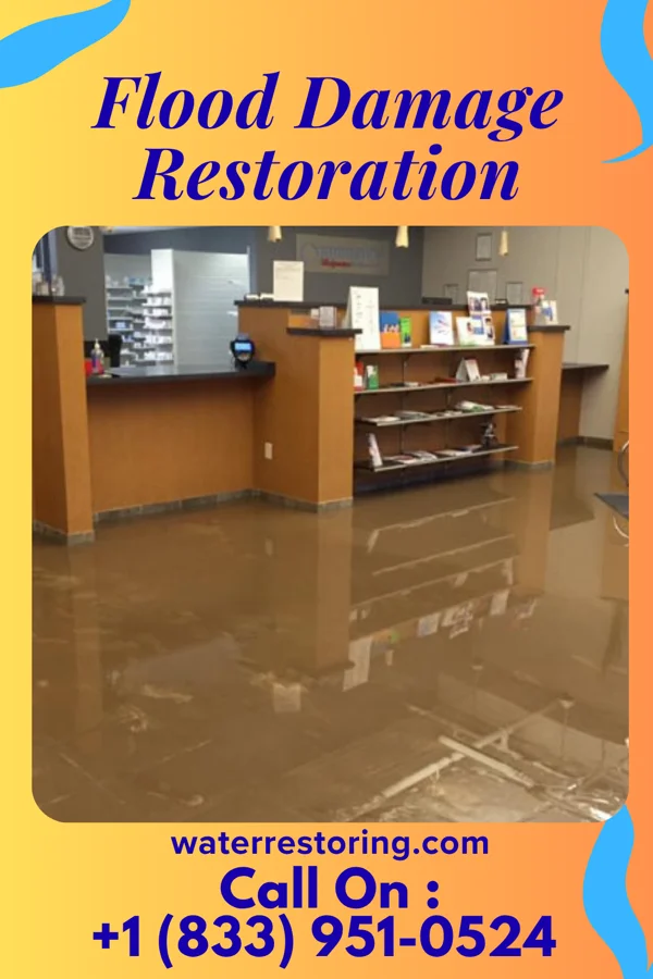Flood Damage Restoration in Woodside, PA