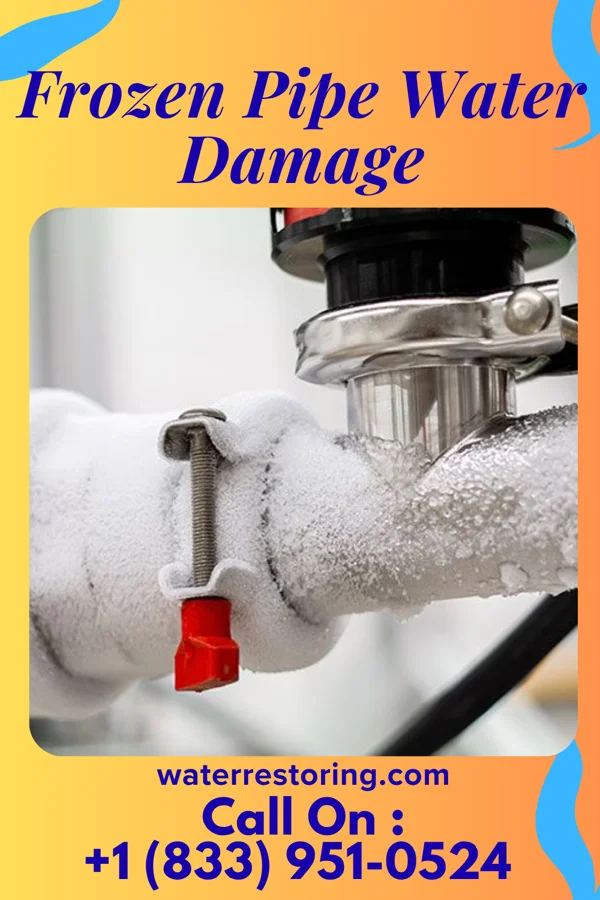 Frozen Pipe Water Damage in Woodside, PA