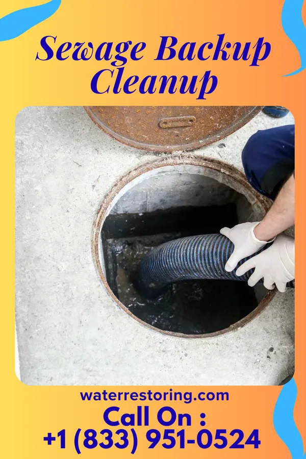 Sewage Backup Cleanup in Woodside, PA